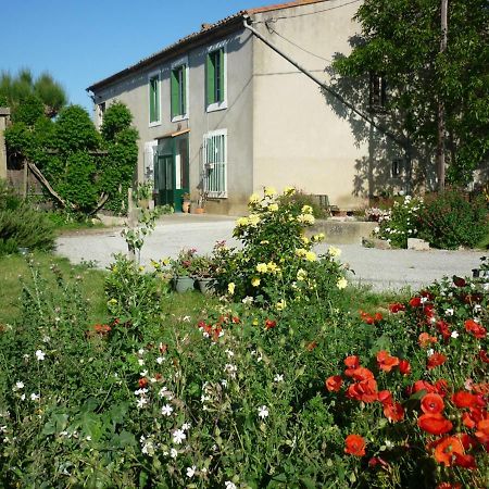 Virevent Villa Carcassonne Exteriör bild